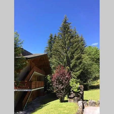 Daire Familial Proche Des Pistes Ollon