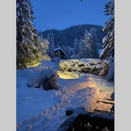 Daire Familial Proche Des Pistes Ollon