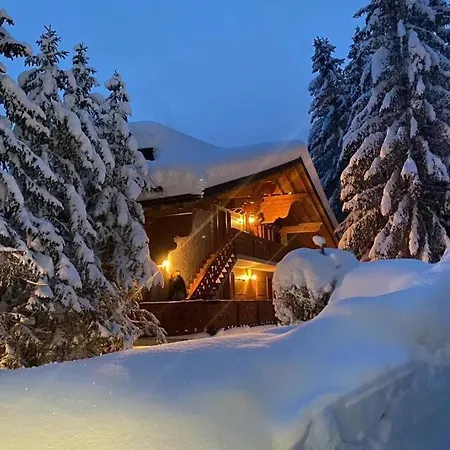 Daire Familial Proche Des Pistes Ollon