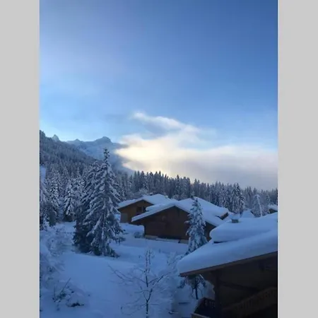 Familial Proche Des Pistes * Ollon