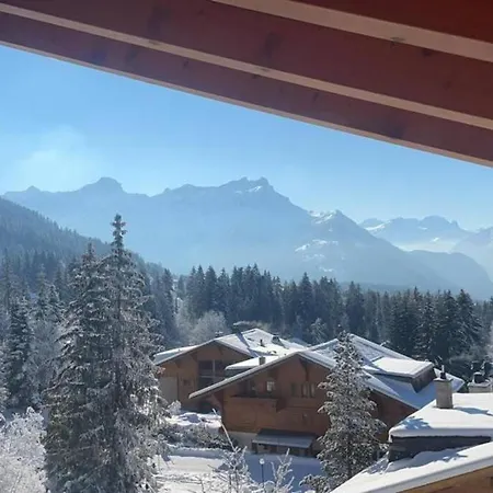 Familial Proche Des Pistes